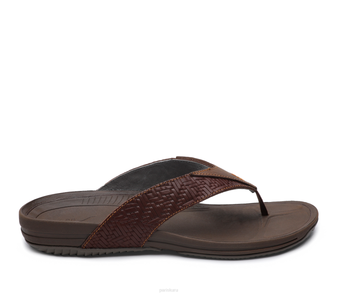 marron des bahamas chaussures Kuru 68LZ191 kala Hommes